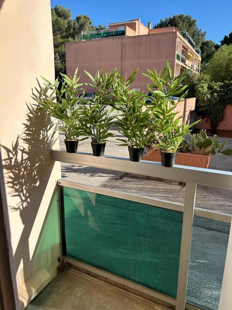 Studio Meuble Bord De Mer Bormes-les-Mimosas Exterior photo